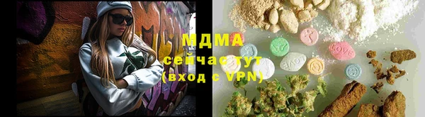 молекула духа Вяземский