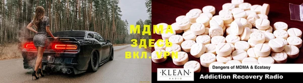 молекула духа Вяземский