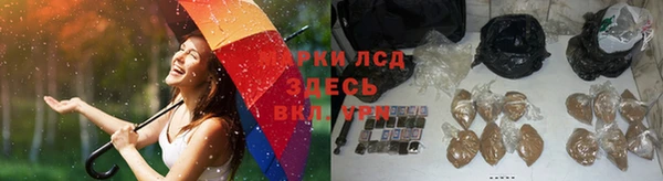молекула духа Вяземский