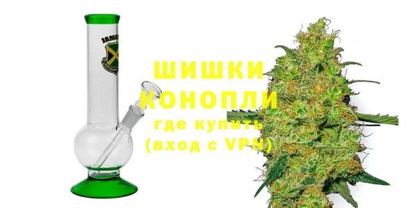 молекула духа Вяземский