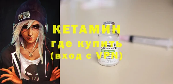 молекула духа Вяземский