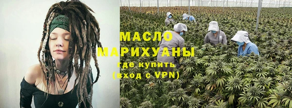 молекула духа Вяземский