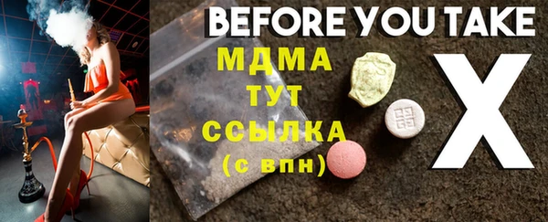 молекула духа Вяземский