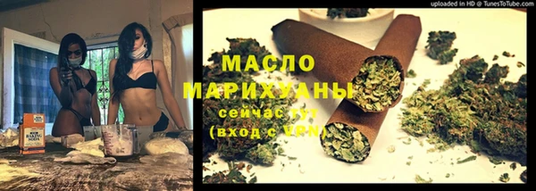 молекула духа Вяземский