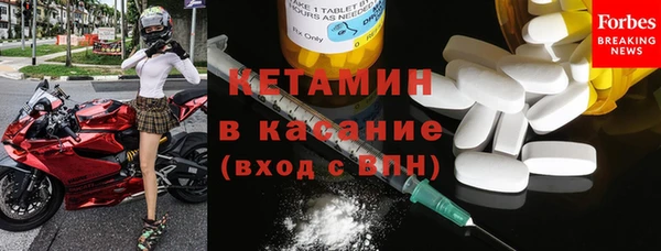 молекула духа Вяземский