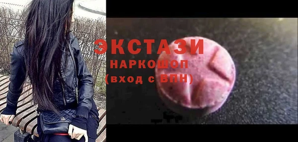 молекула духа Вяземский
