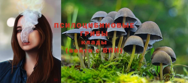 ECSTASY Вязники
