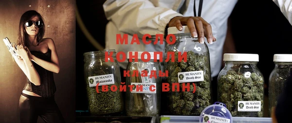 молекула духа Вяземский