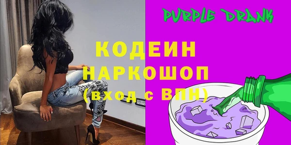 молекула духа Вяземский