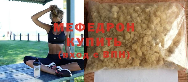 молекула духа Вяземский
